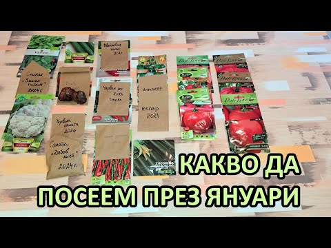 Видео: Сезон 2025 какво можем да посеем през януари - Tony's permaculture garden