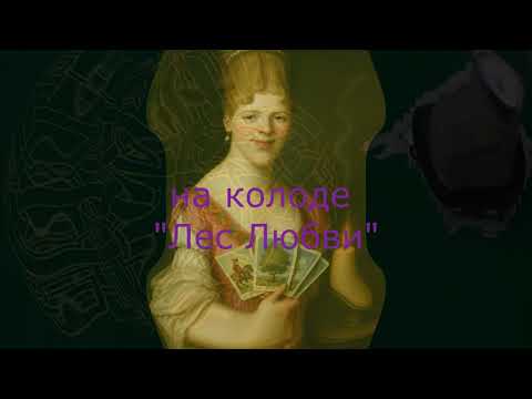 Видео: Анализ причин изменения поведения человека на колоде "Лес Любви"