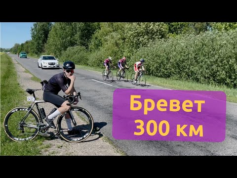 Видео: Бревет 300 км - майский, рапсовый, солнечный☀️