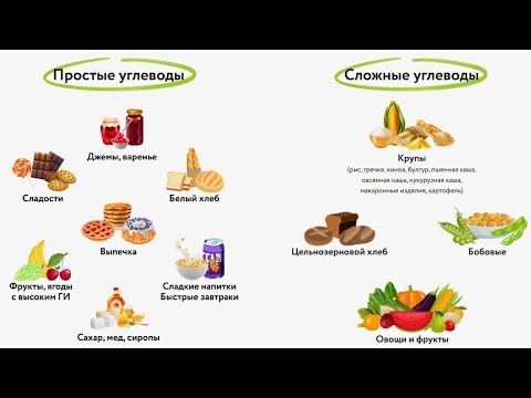 Видео: ЗАЧЕМ хищникам углеводы? Овощефрукты и зерновые - нужны?