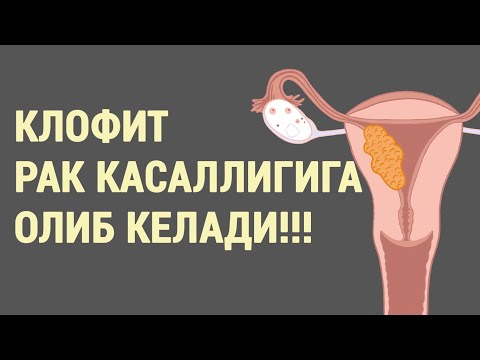 Видео: Клофит рак касаллигига олиб келади!!!