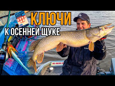 Видео: Количество или качество - ДЖЕРК ИЛИ МЫШЬ? Приманки для ОСЕННЕЙ ЩУКИ | Где искать рыбу осенью?