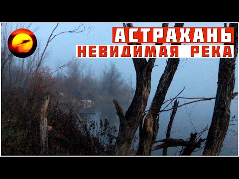 Видео: НЕВИДИМАЯ РЕКА / Рыбалка, Туман, Рассвет и Хищник