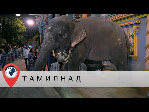 Видео: В отпуск в Индию. Часть 2. Тамил-Наду. Пондичерри