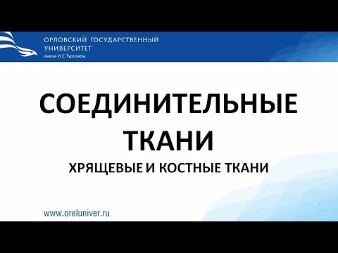 Видео: Хрящевые и костные ткани. Гистологические препараты