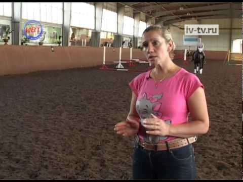 Видео: Конный спорт
