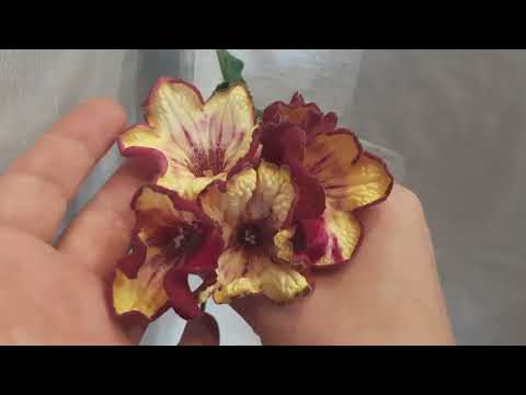 Видео: 25 апреля 2024 г.