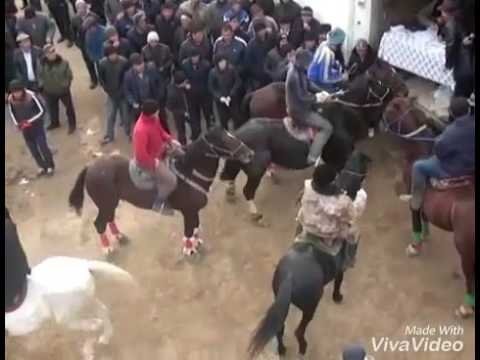 Видео: Жәнібек Ғап Палуандар