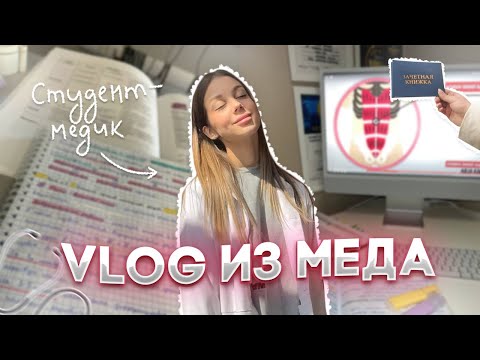 Видео: VLOG: СДАЛА ЦНС | НЕНАВИЖУ ГИСТОЛОГИЮ