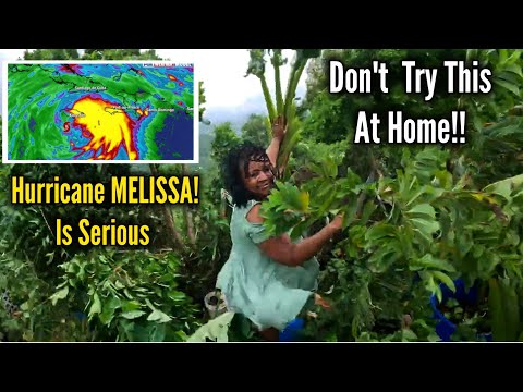 Видео: Спасение в последнюю минуту! Надвигается ураган «Мелисса»! ЯМАЙКА 🇯🇲 БЕРЕГИТЕ СЕБЯ!
