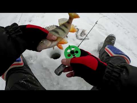 Видео: БЕЗМОТЫЛКА РУЛИТ! НОВЫЙ КОМПЛЕКТ для ловли на МОРМЫШКУ обрыблен по ПОЛНОЙ! Вот так РАСКАЧАЛ ЛУНОЧКУ!