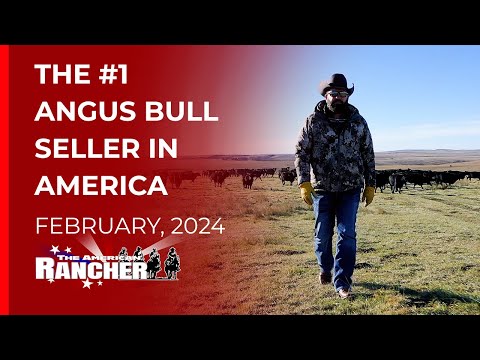 Видео: Jorgensen Land & Cattle Американский фермер 02 19 2024