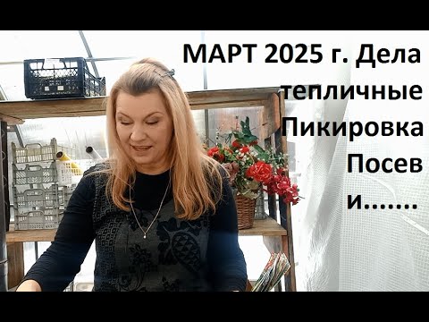 Видео: Март 2025 г. Дела тепличные. Готовимся к новому урожаю.