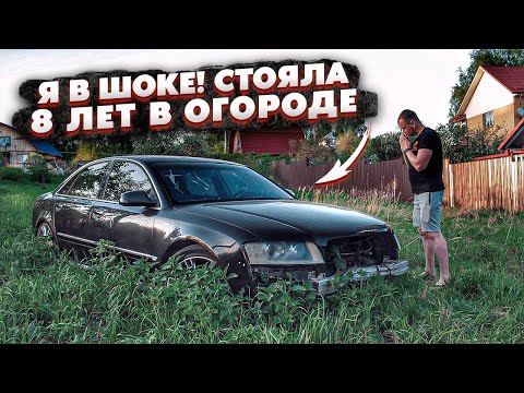 Видео: Купил Ауди А8.Её Бросили На 8 Лет В Огороде.Крутая Находка