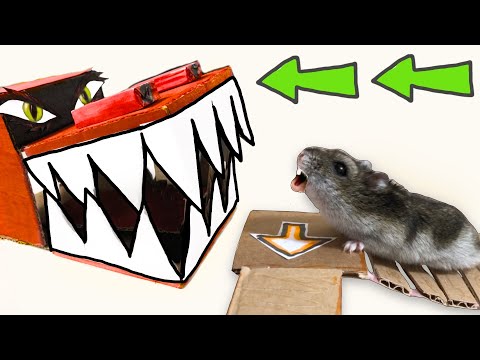 Видео: 🐹 Лабиринт для хомяка с Драконом и ловушками!