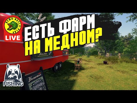 Видео: Есть фарм на Медном? (Стрим - Русская рыбалка 4)