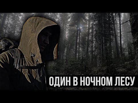 Видео: ОДИН В ЛЕСУ | НОЧНОЕ ХОЖДЕНИЕ ПО ТАЙГЕ | ИЩУ УЧАСТНИКОВ СОРЕВНОВАНИЙ - ГДЕ ВСЕ?