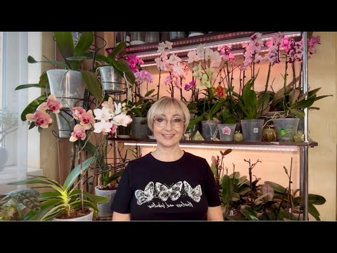 Видео: Сколько я зарабатываю на Ютубе ?! Откровенно обо всем 