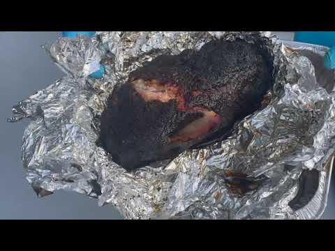 Видео: Им это не понравится, часть 2 (свиные задницы)