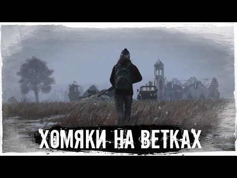 Видео: Хомяки на Ветках | DayZ | CARTEL |  #survival #dayz #CARTEL