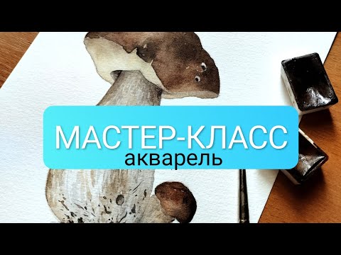 Видео: МАСТЕР-КЛАСС для начинающих "Белый гриб акварелью"