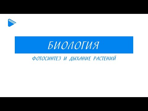 Видео: 6 класс - Биология - Фотосинтез и дыхание растений