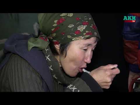 Видео: Приют для бездомных «Коломто»