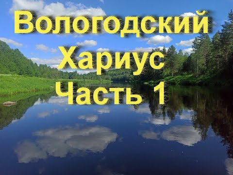 Видео: Вологодский Хариус Часть 1