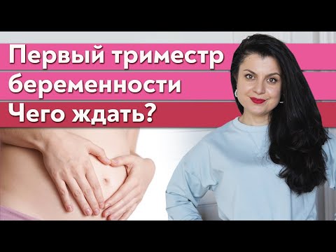 Видео: «Я беременна! Что дальше?» / Как протекает первый триместр беременности?
