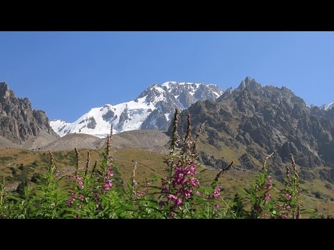 Видео: Заповедники Казахстана. Северный Тянь-Шань