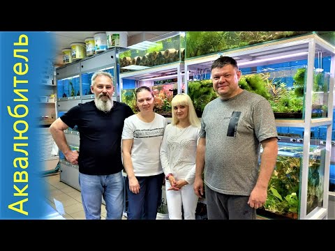 Видео: Аквариумная сказка Великого Новгорода