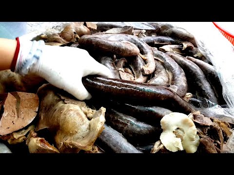 Видео: корейская колбаса ручной работы / корейская уличная еда