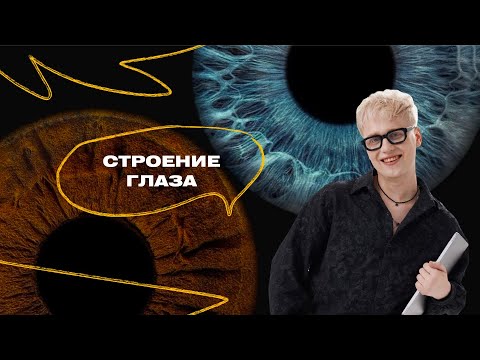 Видео: Демо-курс | Занятие 2 | Сенсорные системы. Строение глаза