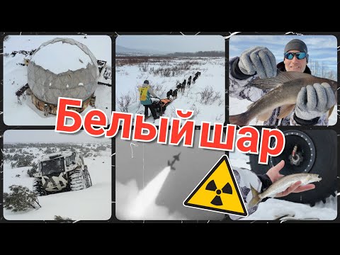 Видео: Белый шар или карагинские приключения