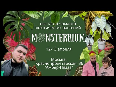 Видео: Орхидиум 2.0 || Выставка-ярмарка экзотических растений Monsterrium || 2025