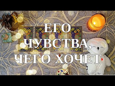 Видео: ЧУВСТВА, ЧЕГО ХОЧЕТ❤️🔮Таро🔮Гадание на картах Таро✨✨✨