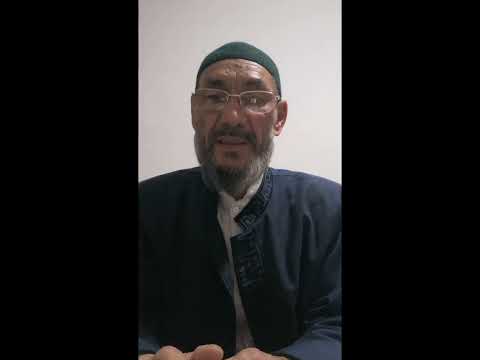 Видео: 31 мая 2025 г.