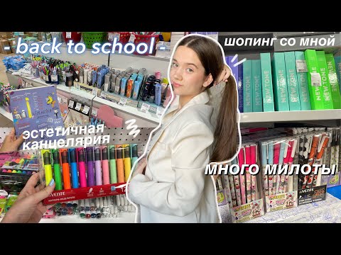 Видео: BACK TO SCHOOL 2022 ~ ПОКУПКИ ЭСТЕТИЧНОЙ КАНЦЕЛЯРИИ 🤩