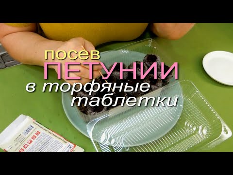 Видео: Посев Петунии из Семян в Торфяные Таблетки 2020. Советы от Зеленого Огорода.