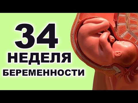 Видео: Что происходит с ребенком и мамой на 34 неделе беременности? 8 месяц беременности. Третий триместр.