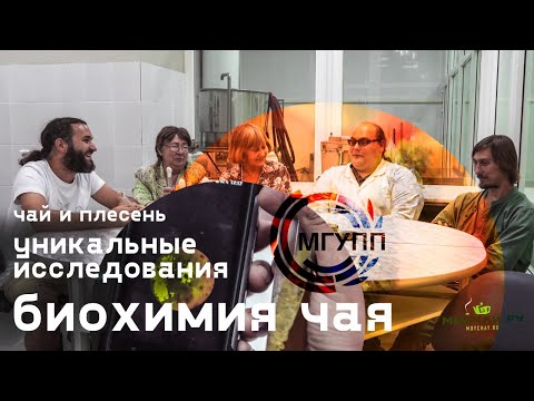Видео: Биохимия Чая. Уникальные исследования. Чай и плесень.  МГУПП