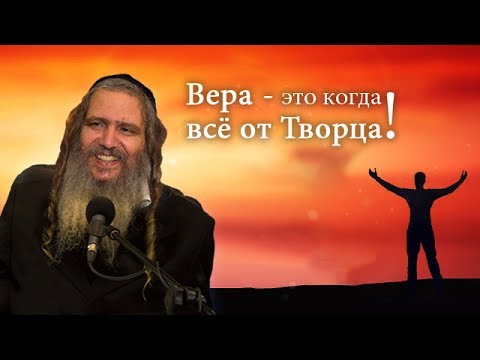 Видео: Рав Шалом Аруш | Вера - это когда всё от Творца!