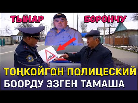 Видео: ТЫНАР БОРОНЧУДАН КАЙТАЛАНГЫС ГАИШНИК САТИРАСЫ//КӨРБӨГӨН АРМАНДА