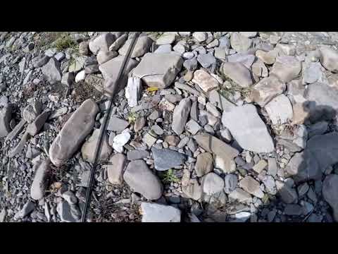 Видео: Ловля крупного Ленка на горной речке , осенняя охота на изюбря с якутскими лайками....