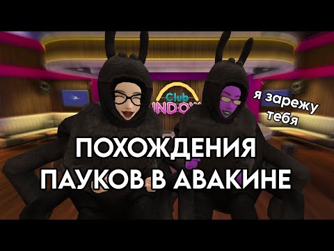 Видео: ПОХОЖДЕНИЯ ПАУКОВ В АВАКИН ЛАЙФ!