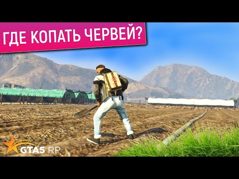 Видео: ГДЕ КОПАТЬ ЧЕРВЕЙ В ГТА 5 РП? КЛУБ REDNECKS | ФЕРМА ГТА 5 | РЕДНЕКИ GTA 5 RP