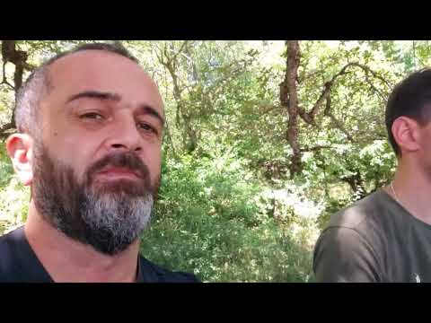 Видео: 24 августа 2025 г.