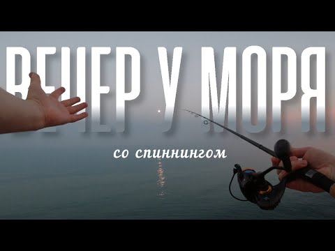 Видео: Ловля донной рыбы на булер с берега. Бычок на булер. Скорпена на булер. Снасть на скорпену #fishing