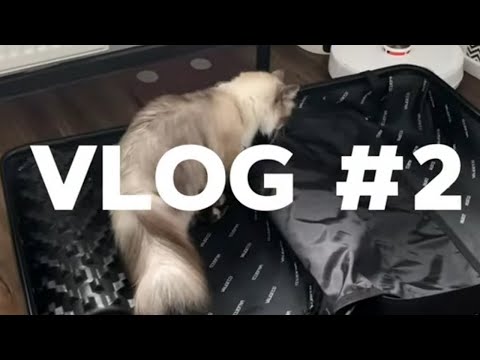 Видео: VLOG #2 / Сборы, чемодан и подготовка к отъезду