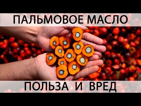 Видео: Пальмовое масло - вред и польза для здоровья